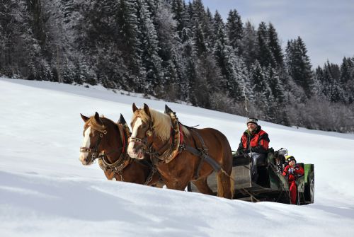 Pferdeschlittenfahrt Hopfgarten Hohe Salve
