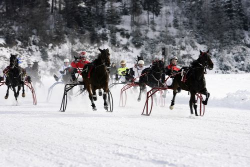 Horse sleigh race - St. Johann in Tirol region