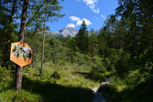 PillerseeTal - bee nature trail - hiking