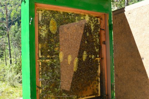PillerseeTal - Bienenlehrpfad - wandern