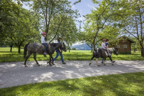 Ponyreiten in der Ferienregion Hohe Salve