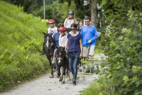 Pony riding in Itter Hohe Salve