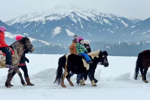 Ponywandern Winter Itter Ferienregion Hohe Salve