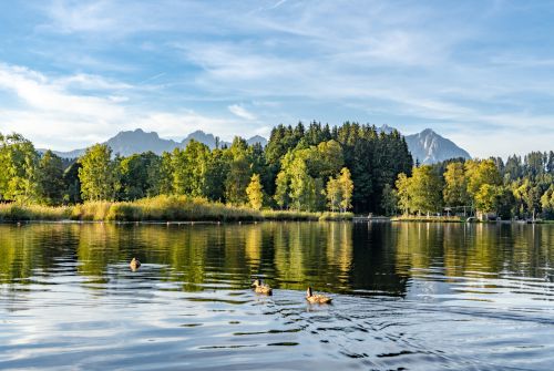 Schwarzsee Herbst 2018-02614