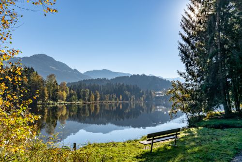 Schwarzsee Herbst 2018-09609