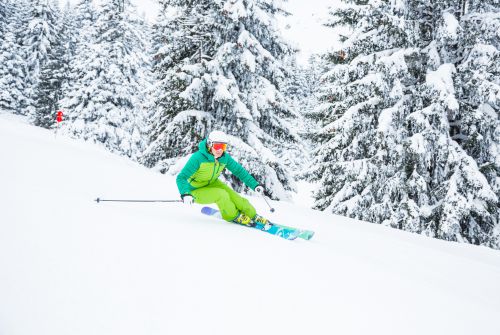 Skier in the snow-covered forest