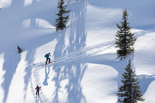 Schön der Spur nach