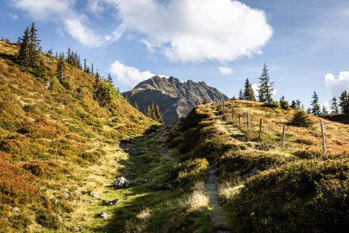 Hiking paradise Kitzbühel Alps
