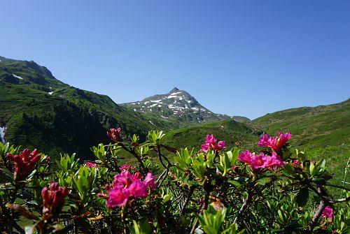 Wandeling Wildalmseen Schafsiedel