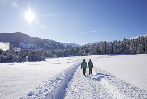 Winterwandern in der Ferienregion Hohe Salve