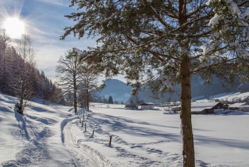 Winterwanderweg Erpfendorf - Region St. Johann in Tirol