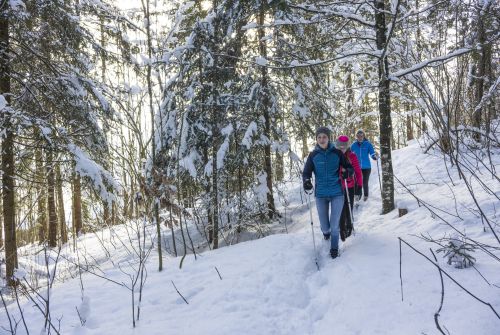 Winter hiking in Mariastein