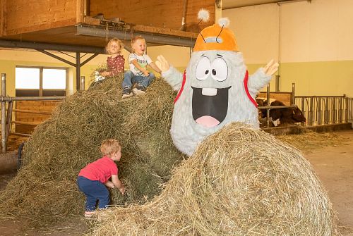 Yappy Yapadu am Bauernhof • Region St. Johann in Tirol