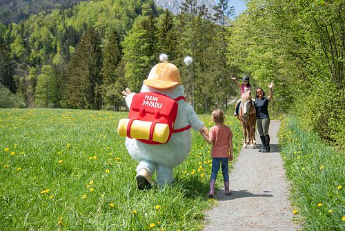 Yappy Yapadu im Sommer - Region St. Johann in Tirol