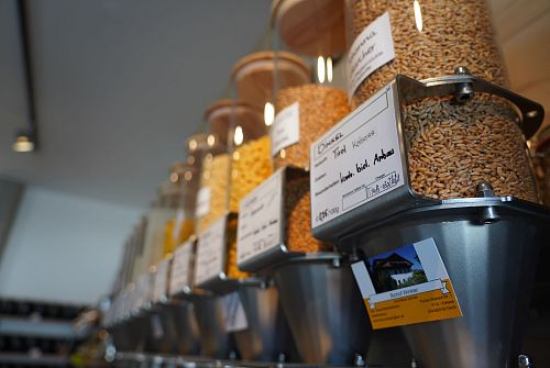 Zua Woog Brixen (c) TVB Kitzbüheler Alpen-Brixental, Fotografin Bettina Hechenberger (16)